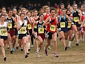 2010CIF XC GD5-1503